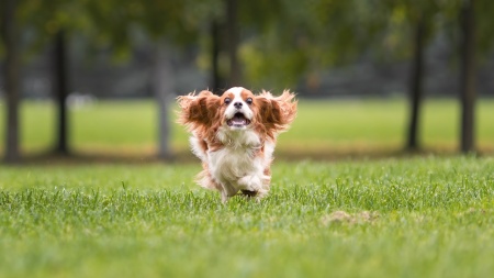 iStock-1298295795.jpg