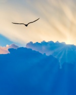 iStock-1341969992.jpg