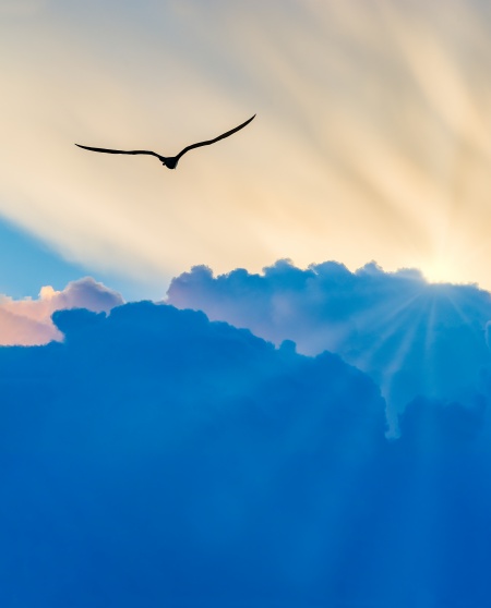 iStock-1341969992.jpg