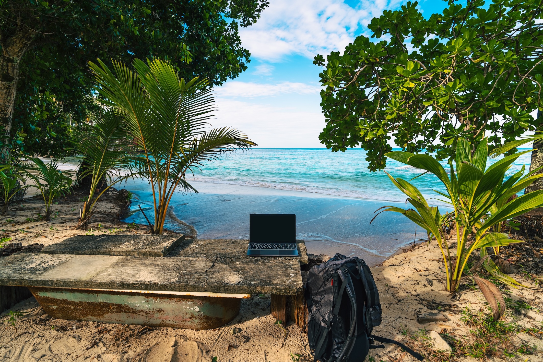 iStock-2204278663.jpg